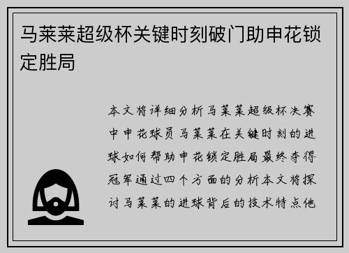 马莱莱超级杯关键时刻破门助申花锁定胜局